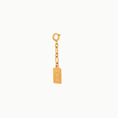 Plate charm